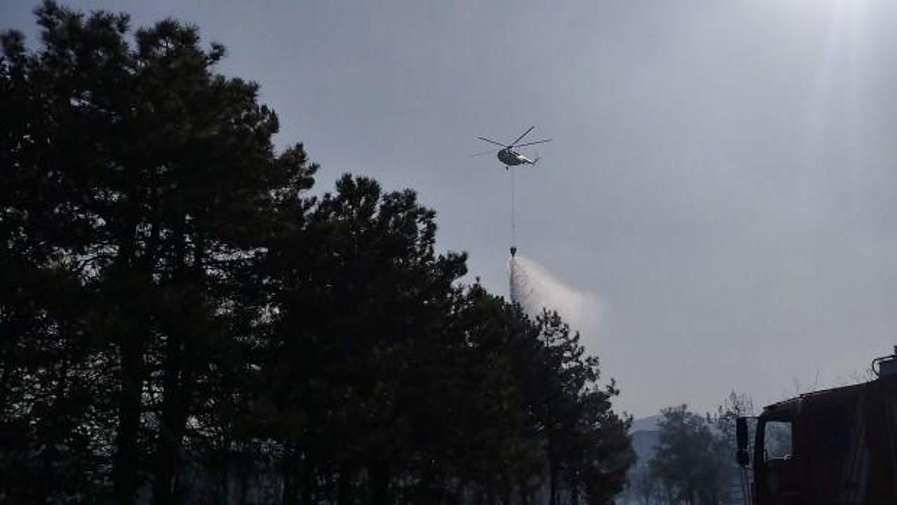 Kocaeli'de ormanlık alanda yangın: Havadan ve karadan müdahale edildi