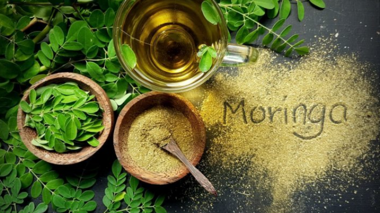 Moringa çayı nedir, zayıflatır mı? Moringa çayının faydaları ve bilinmeyenleri!
