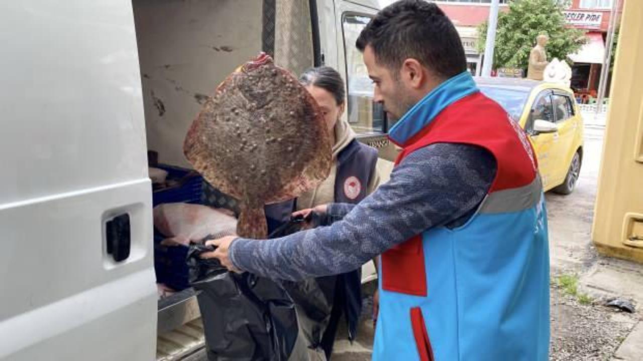 Sinop'ta kaçak yolla avlanan 340 kalkan balığı ele geçirildi