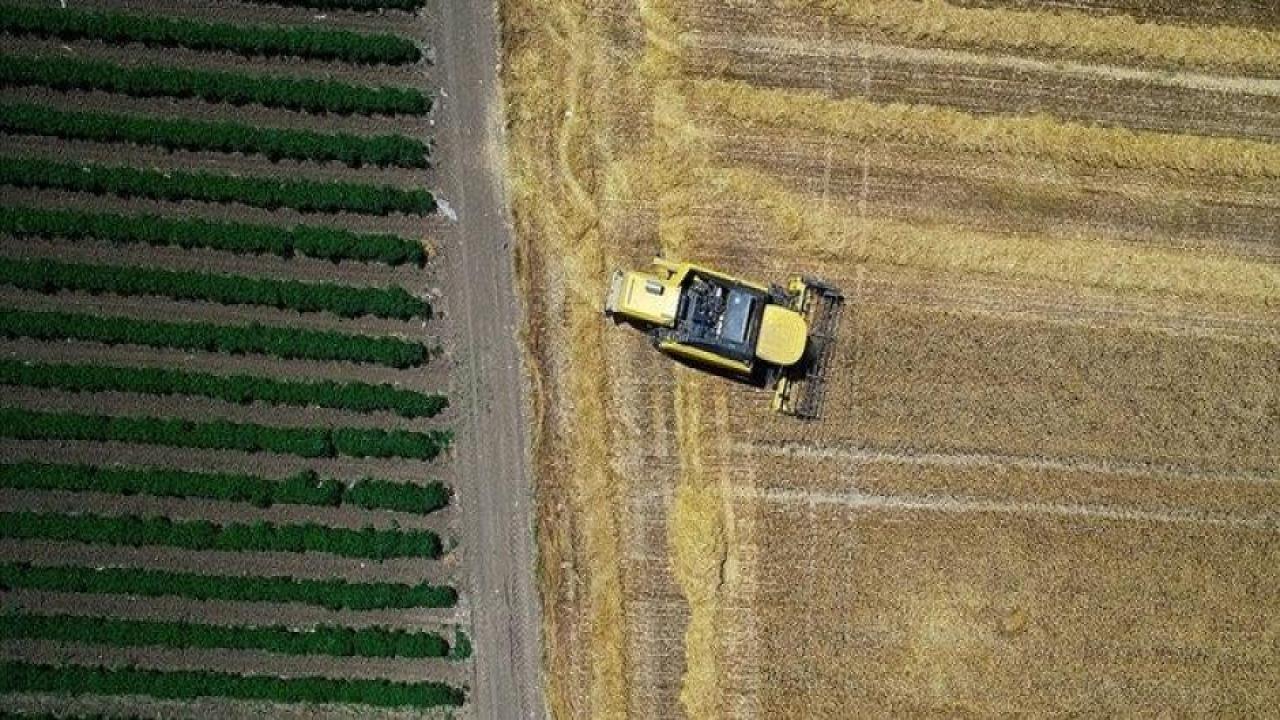 Tarım sektörü ihracatı rekor kırdı