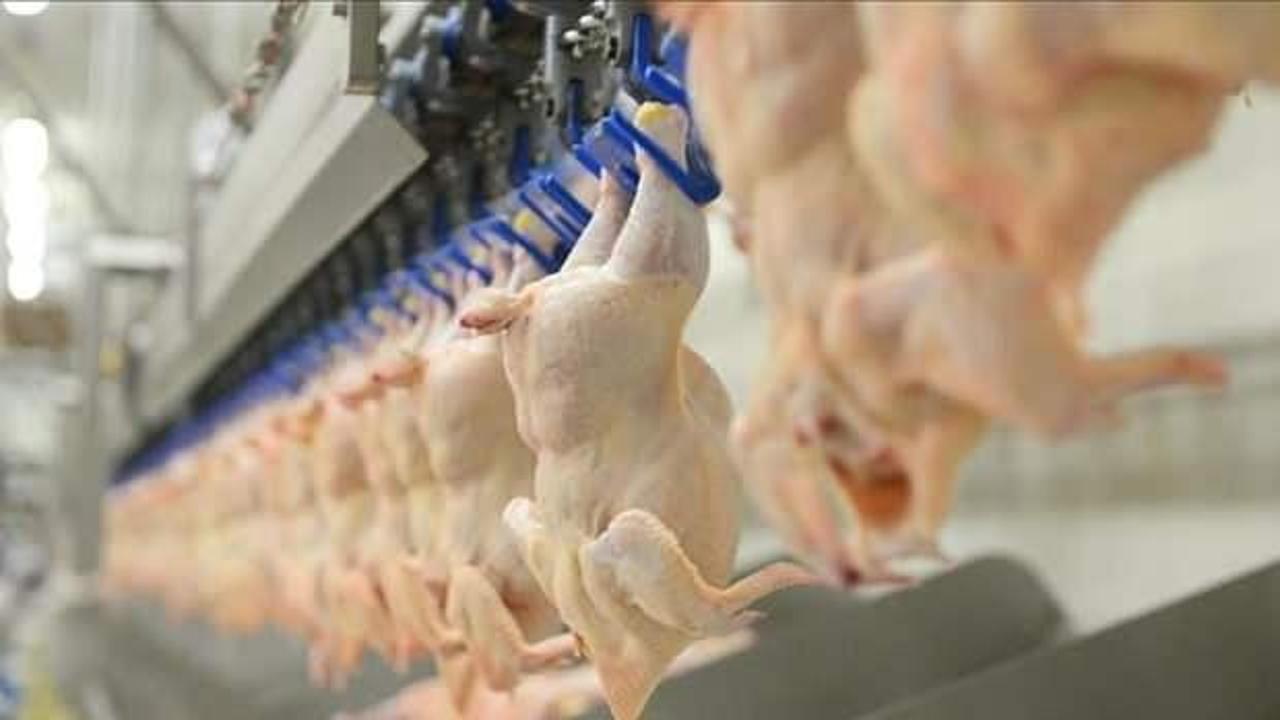 Üretilen kanatlı etinin dörtte biri ihraç edildi