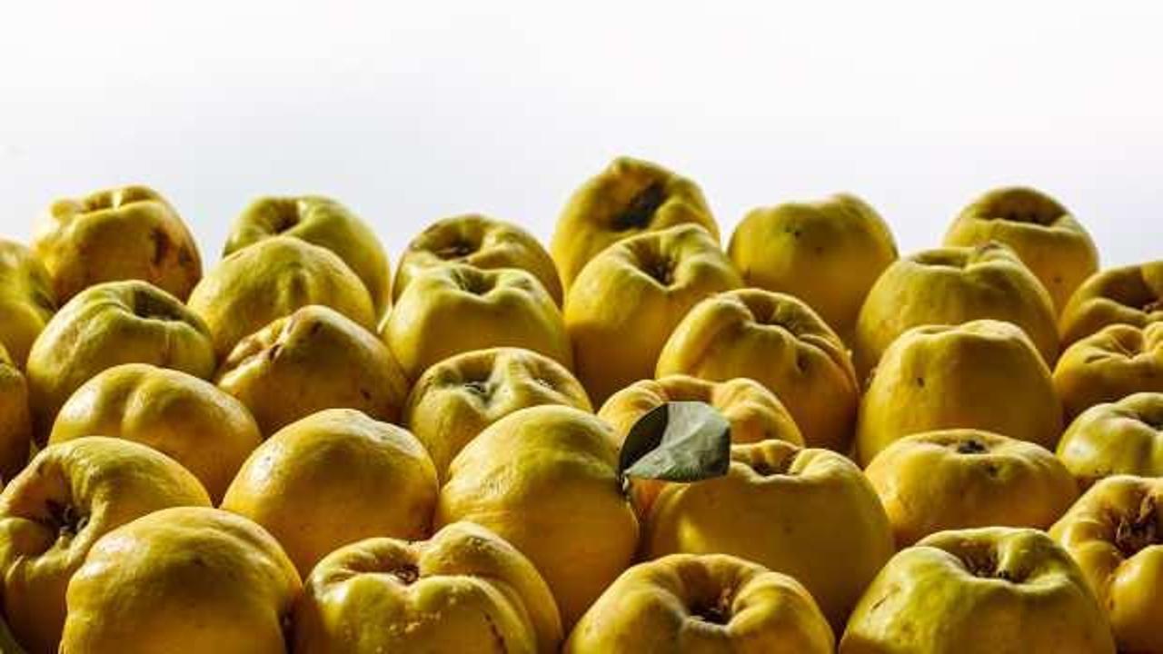 Ayvanın faydaları nelerdir? Sabah aç karnına ayva yemek…