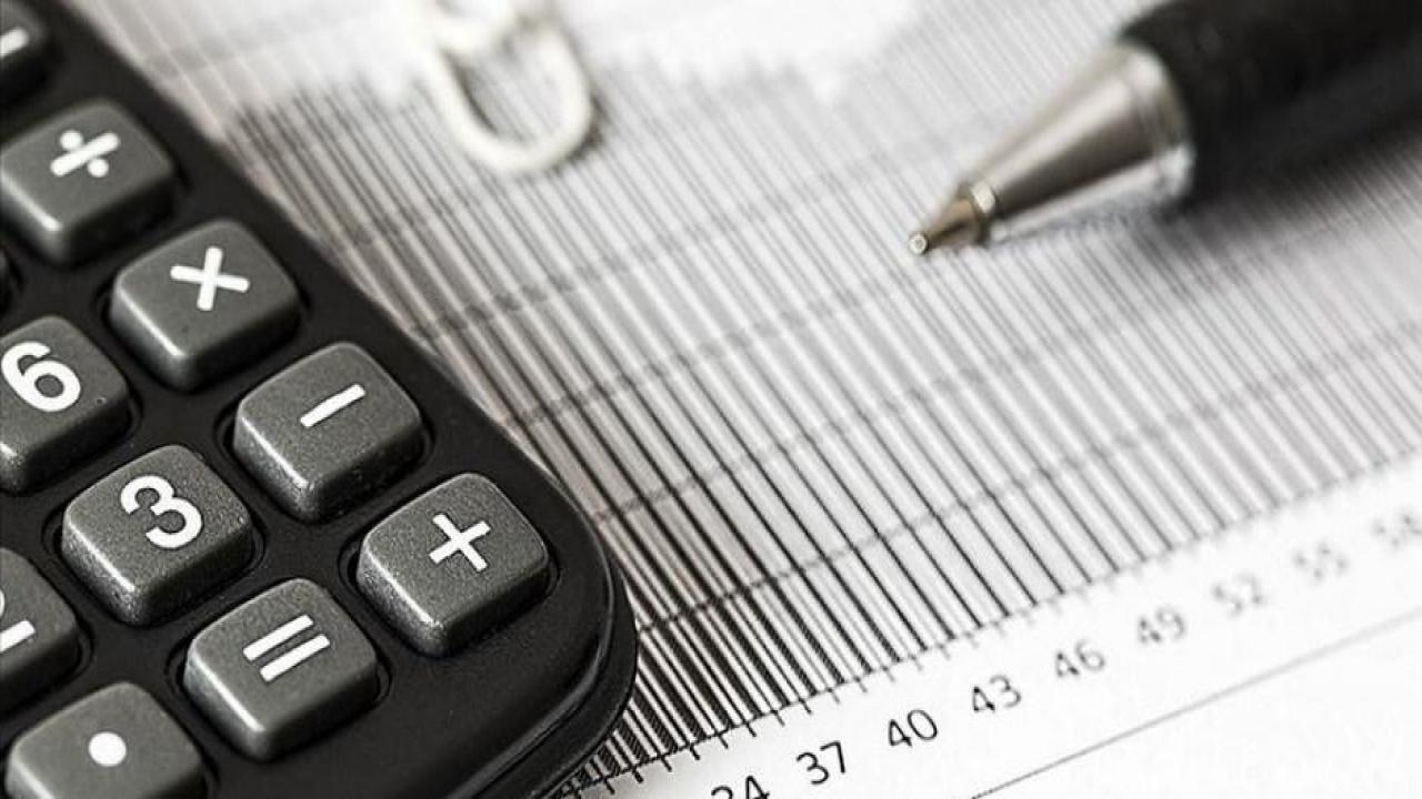 10 soruda 'gelire endeksli devlet iç borçlanma senedi'