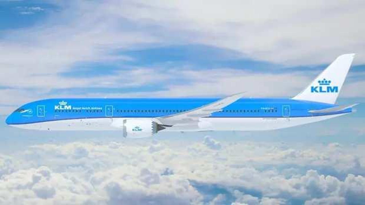 100 adet domuz 'Boeing 787' uçağını indirdi!