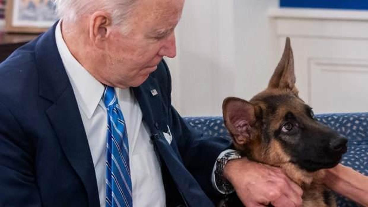 11. vaka: Biden'ın köpeği bir ajanı daha ısırdı