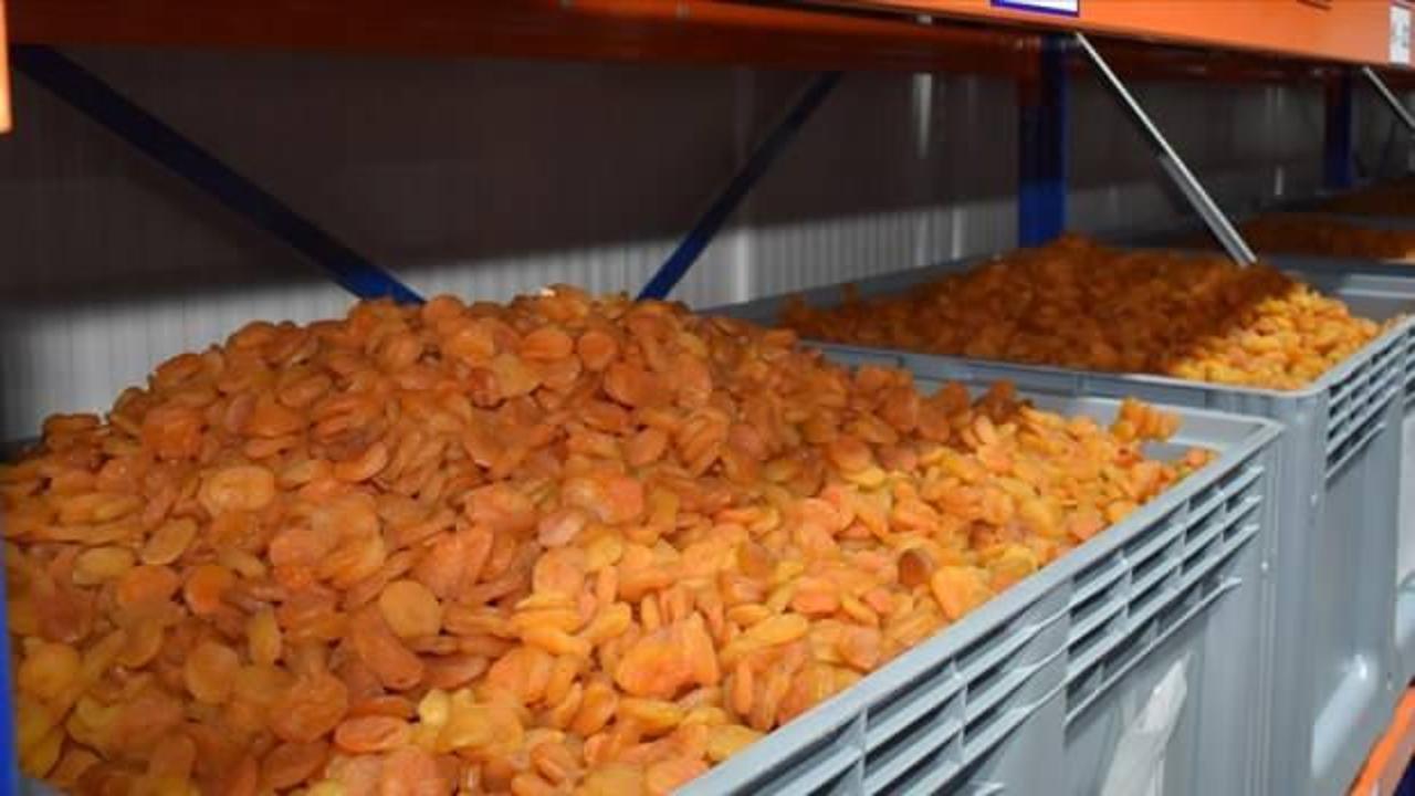 115 ülkeye ihraç edilen Malatya kayısısından yaklaşık 400 milyon dolar gelir sağlandı