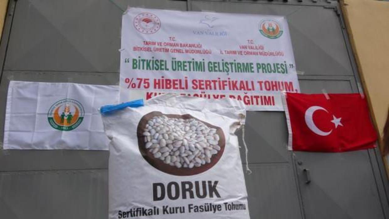 15 ton kuru fasulye tohumu dağıtıldı
