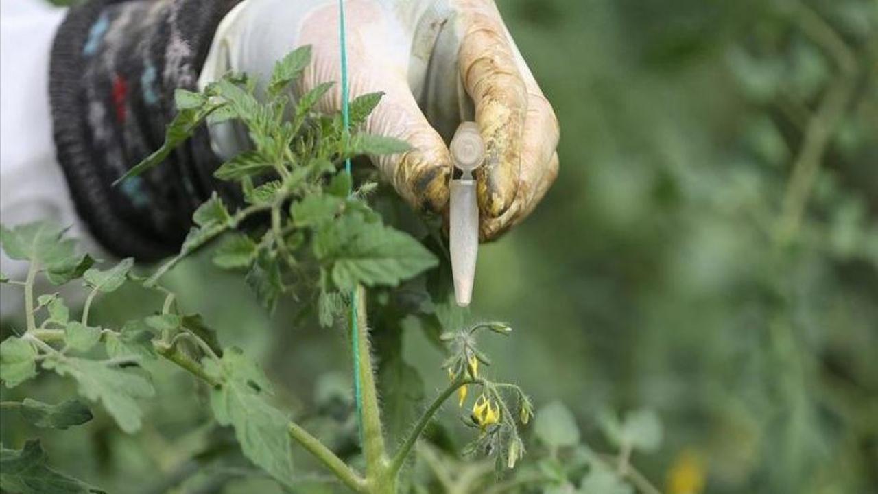 177 ülke Türkiye'den satın aldı! Avrupa'da ilk dünyada 9'uncu sırada...