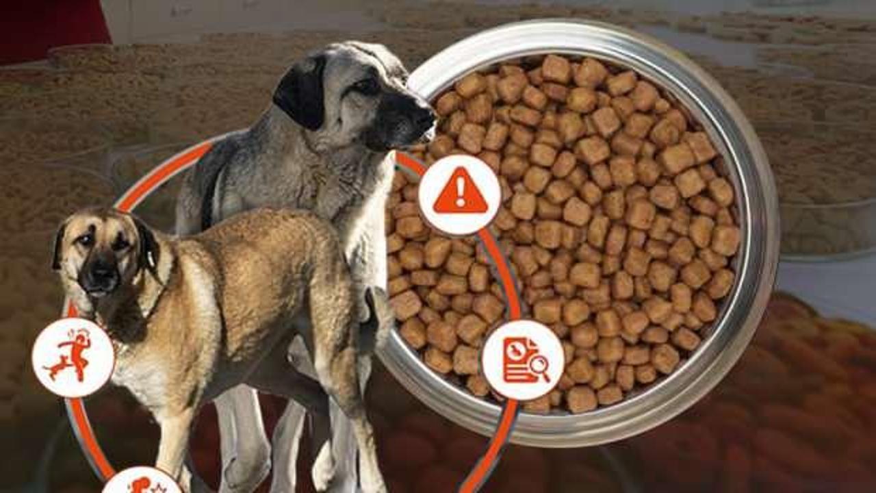 2 milyar dolarlık arı kovanına çomak! Petshop lobisi diş biliyor