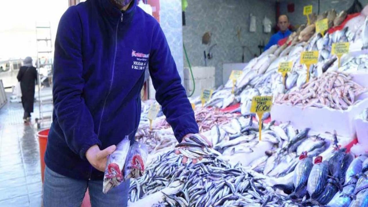 2 tanesi 1 çeyrek altınla yarışıyor: Kilosu 5 bin 500 TL'yi buluyor