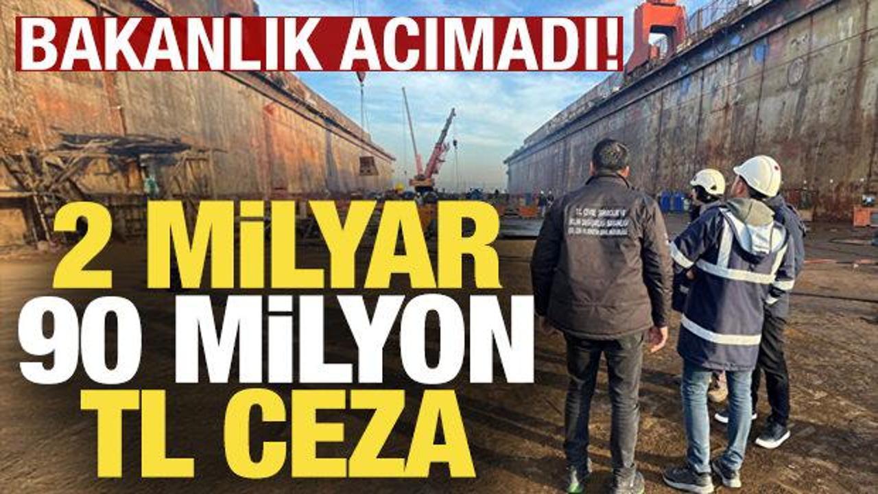 2024 yılında çevreyi kirletenlere 2 milyar 90 milyon TL ceza