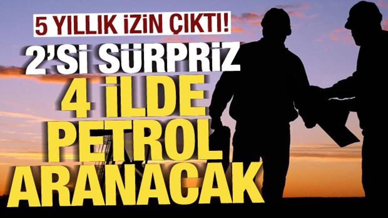 2'si sürpriz 4 ilde petrol aranacak