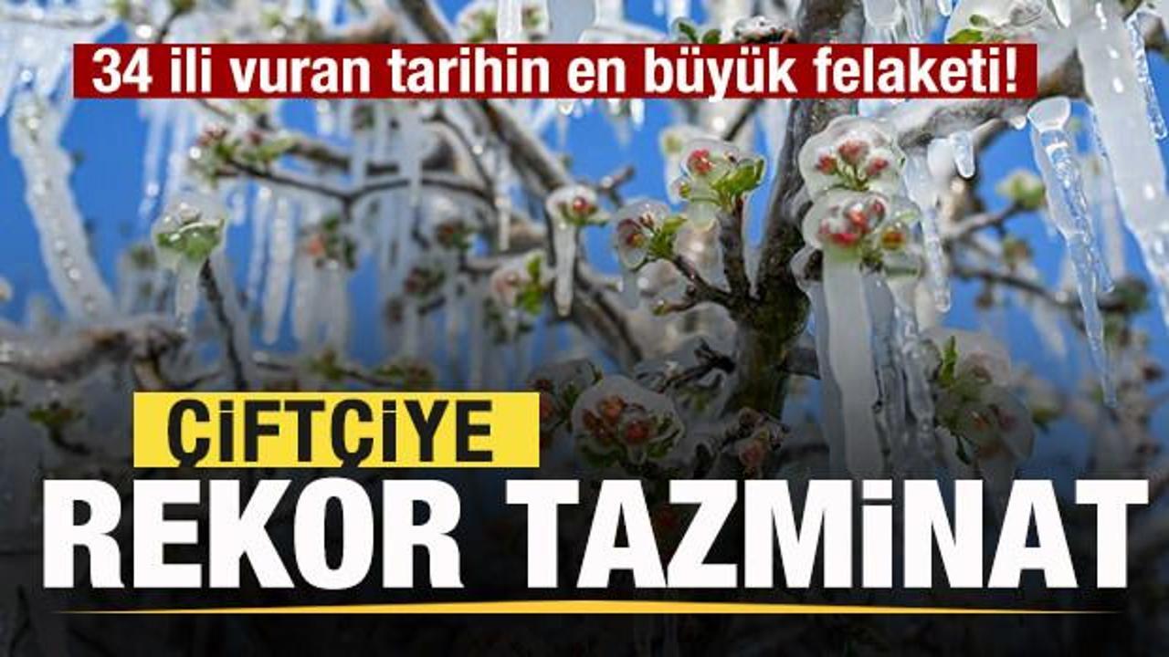 34 ili vuran tarihin en büyük felaketi! Çiftçiye rekor tazminat ödenecek