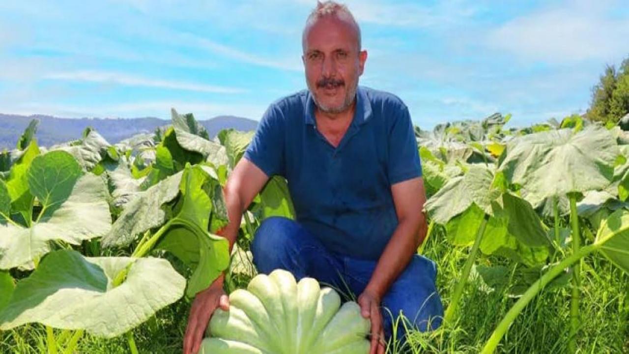 40 ton kabaktan 250 bin TL gelir bekliyor