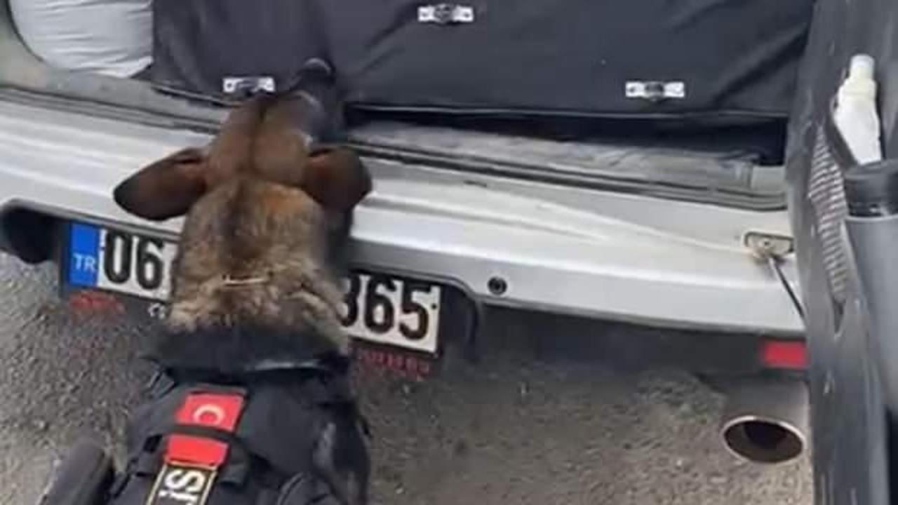 43 ilin geçiş güzergahında uyuşturucuya geçit yok