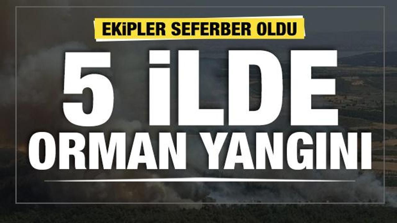 5 ilde birden başladı! Ormanlarımız yanıyor...