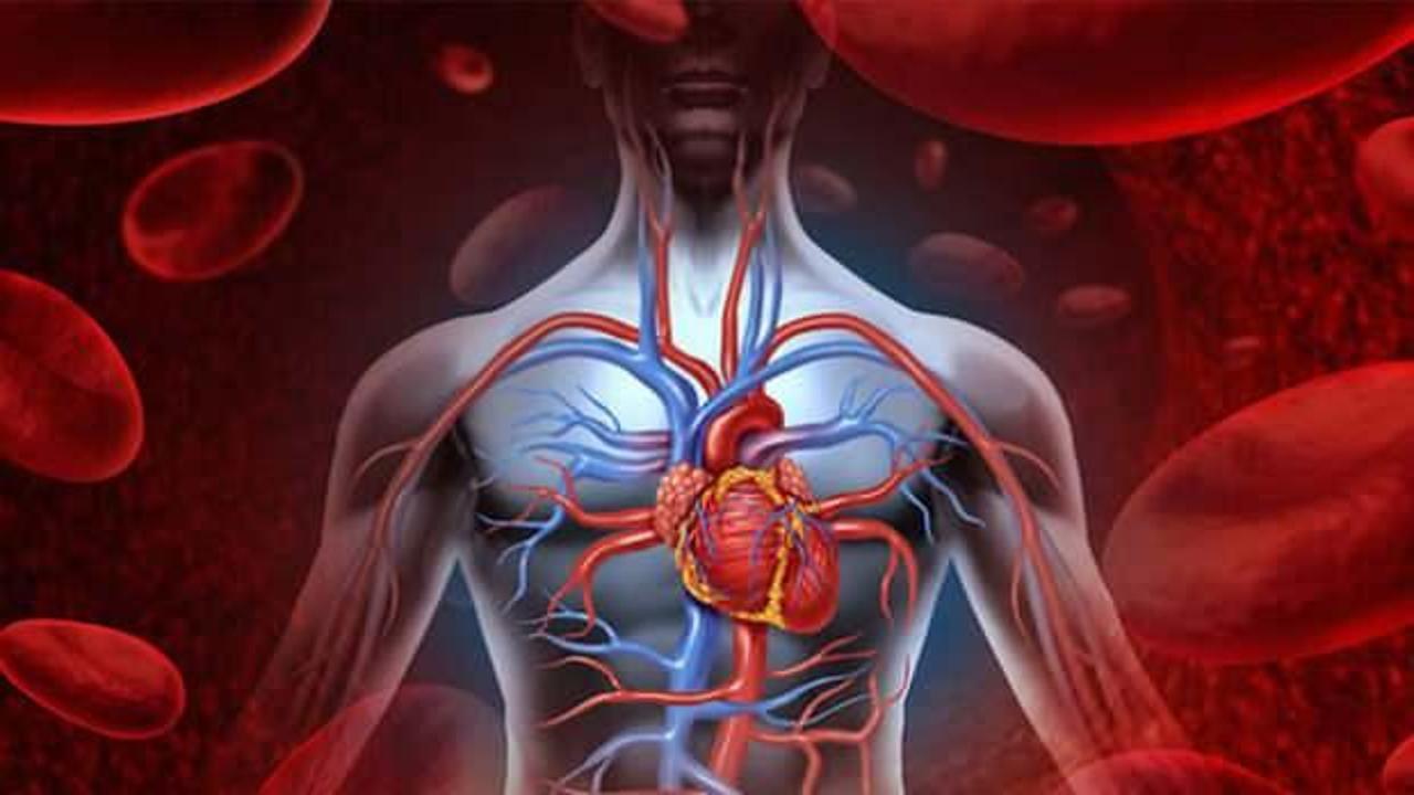 50 yaş üstü için hayati önem taşıyan vitaminler: Kan dolaşımınızı güçlendirin!