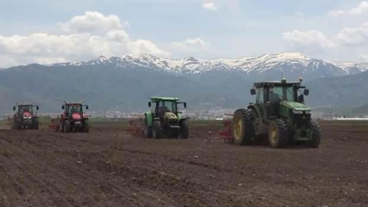500 bin ton şeker pancarından 2 milyar TL gelir bekleniyor