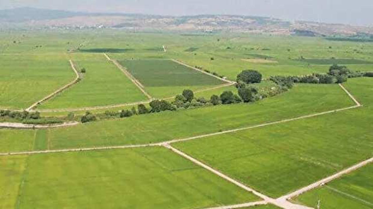 52.000 TL'si olana tapu verilecek! Milli Emlak'tan müjdeli haber geldi