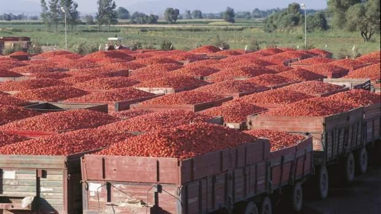 60 milyon TL’lik sermaye artırımını tamamlayan Merko yatırım atağında