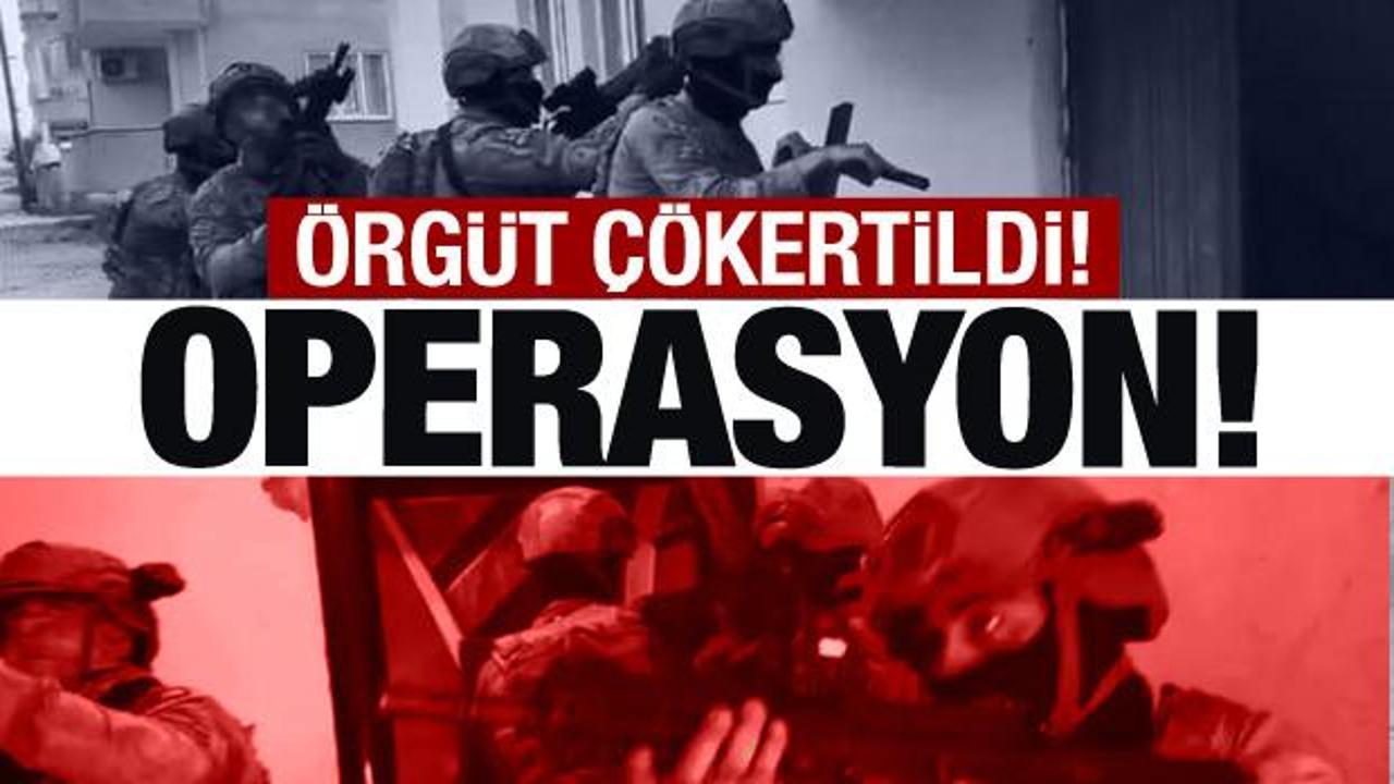 8 ilde operasyon! 'Odacılar' suç örgütü çökertildi