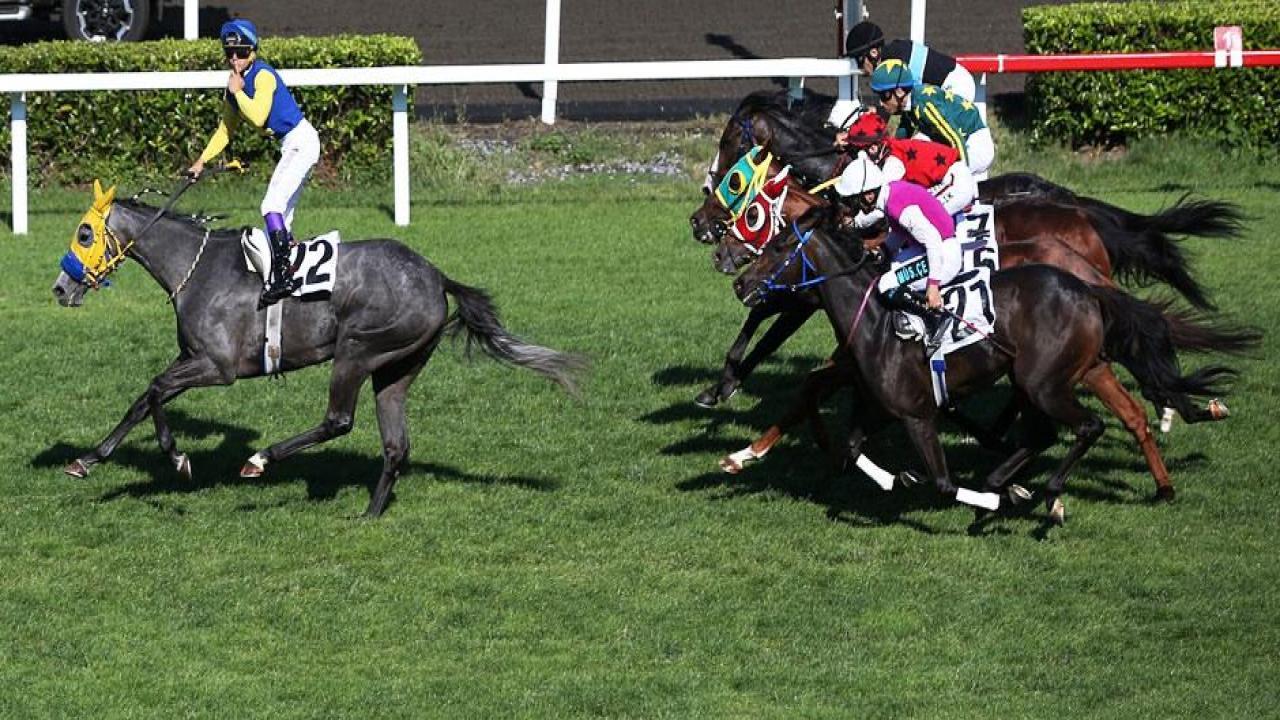 96. Gazi Koşusu'nun galibi Secret Power!