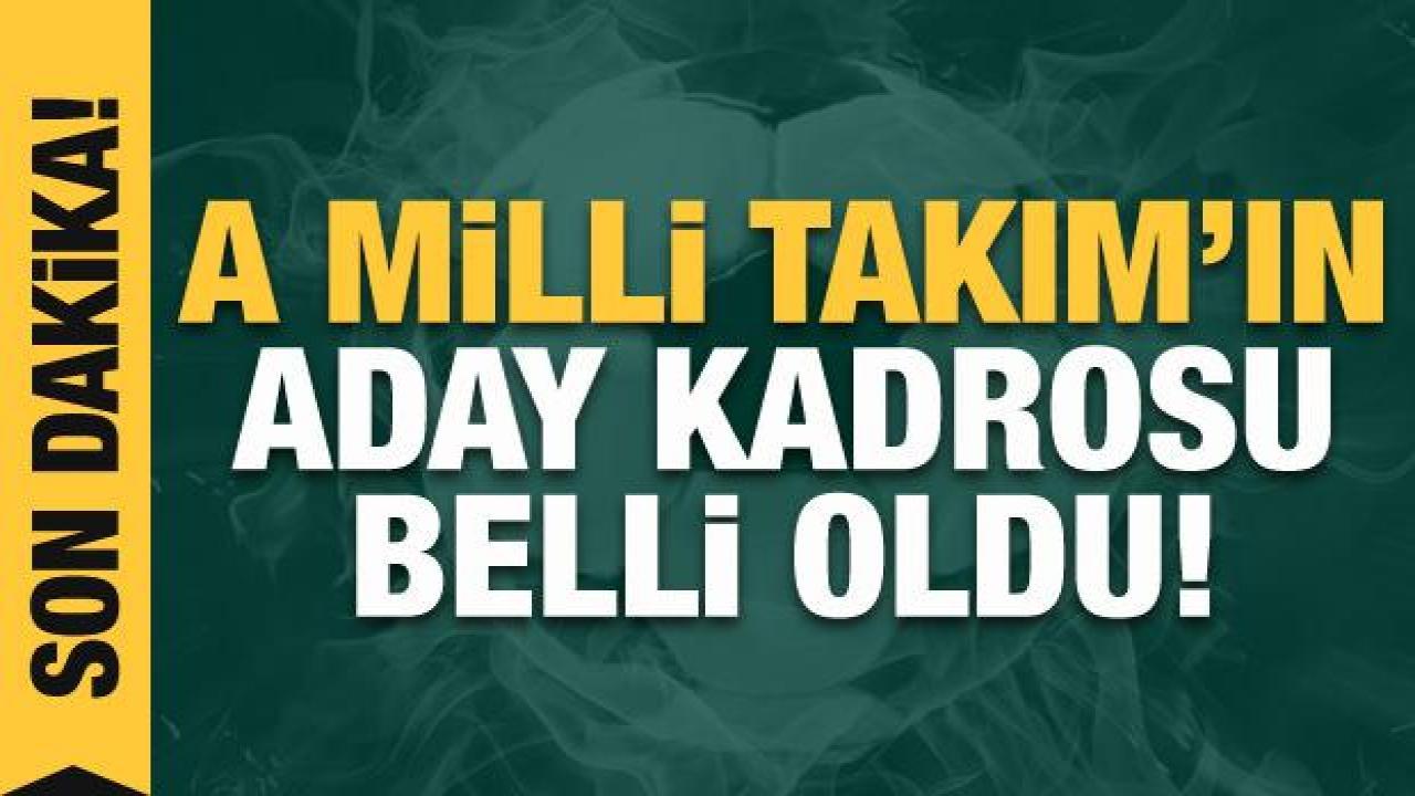 A Millİ Futbol Takımı'nın aday kadrosu belli oldu!