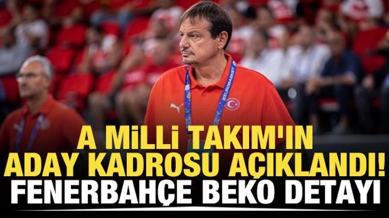 A Milli Takım'ın aday kadrosu açıklandı: Fenerbahçe Beko detayı