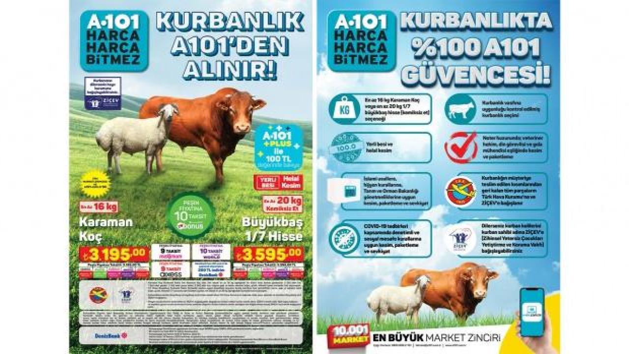 A101 kurbanlık fiyatları belli oldu! 2022 büyükbaş ve küçükbaş kurbanlık ne kadar? Peşin fiyatına taksit..