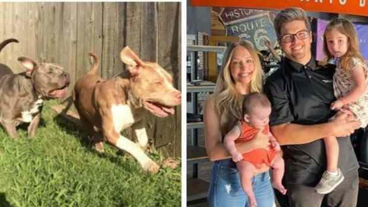ABD'de pitbull dehşeti: İki çocuk öldü, anne ağır yaralandı