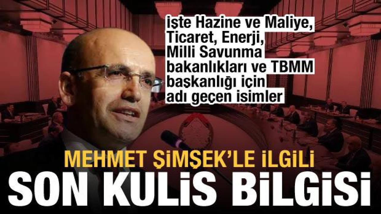 Abdulkadir Selvi'den Mehmet Şimşek iddiası: İşte yeni kabine için adı geçen isimler