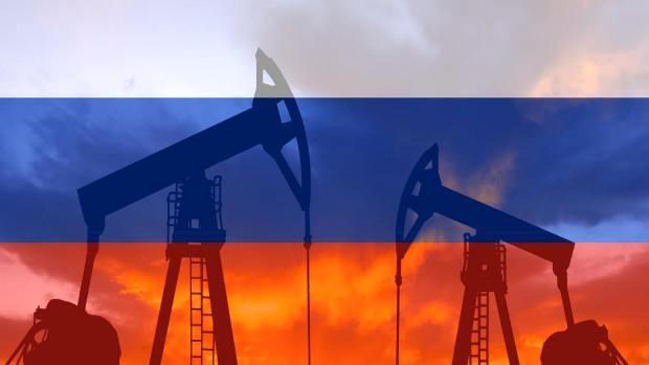 AB'nin Rusya'dan petrol ithalatı yüzde 90 azaldı