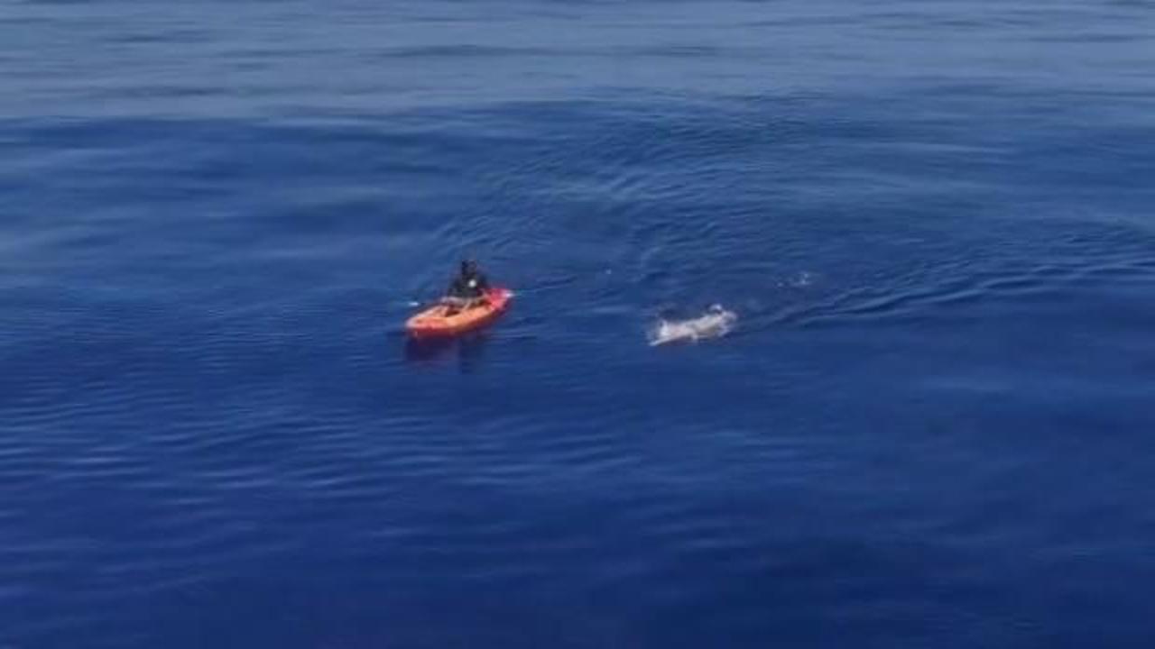 Açık deniz yüzücüsü Aysu Türkoğlu, Ka’iwi Kanalı’nı geçen en genç Türk oldu