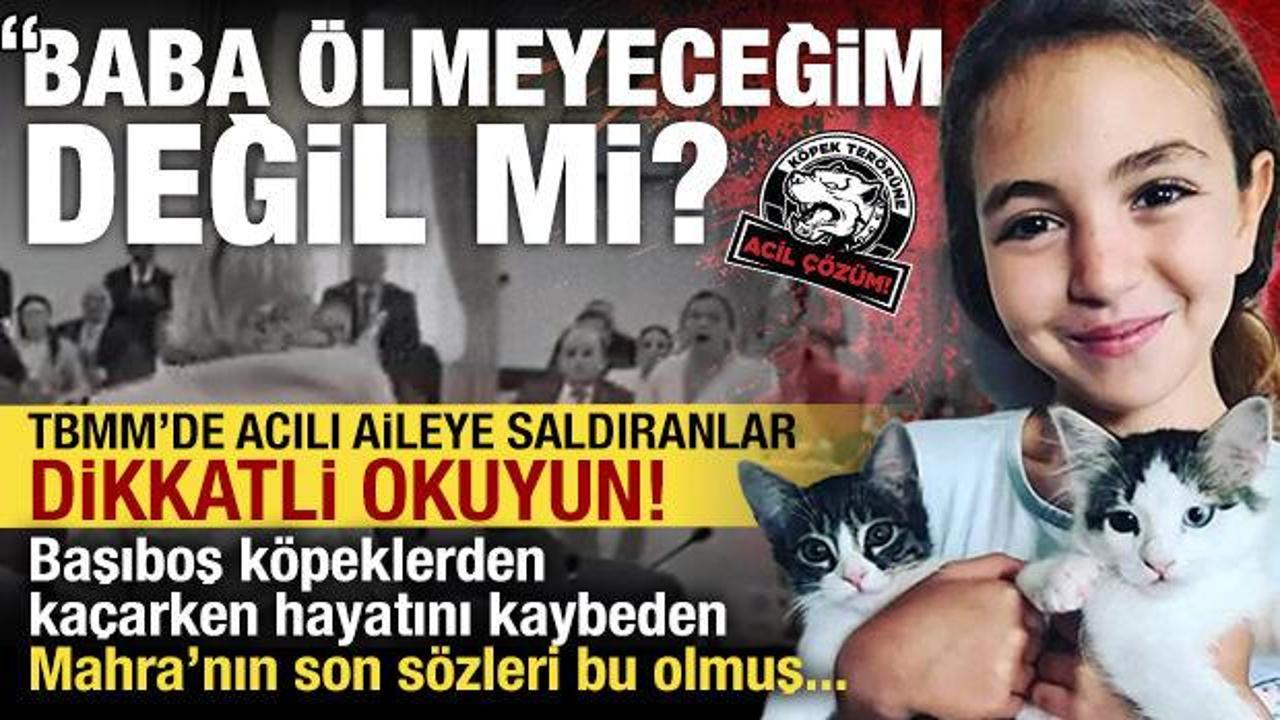 Acılı baba, başıboş köpeklerden kaçarken hayatını kaybeden kızının son sözlerini söyledi