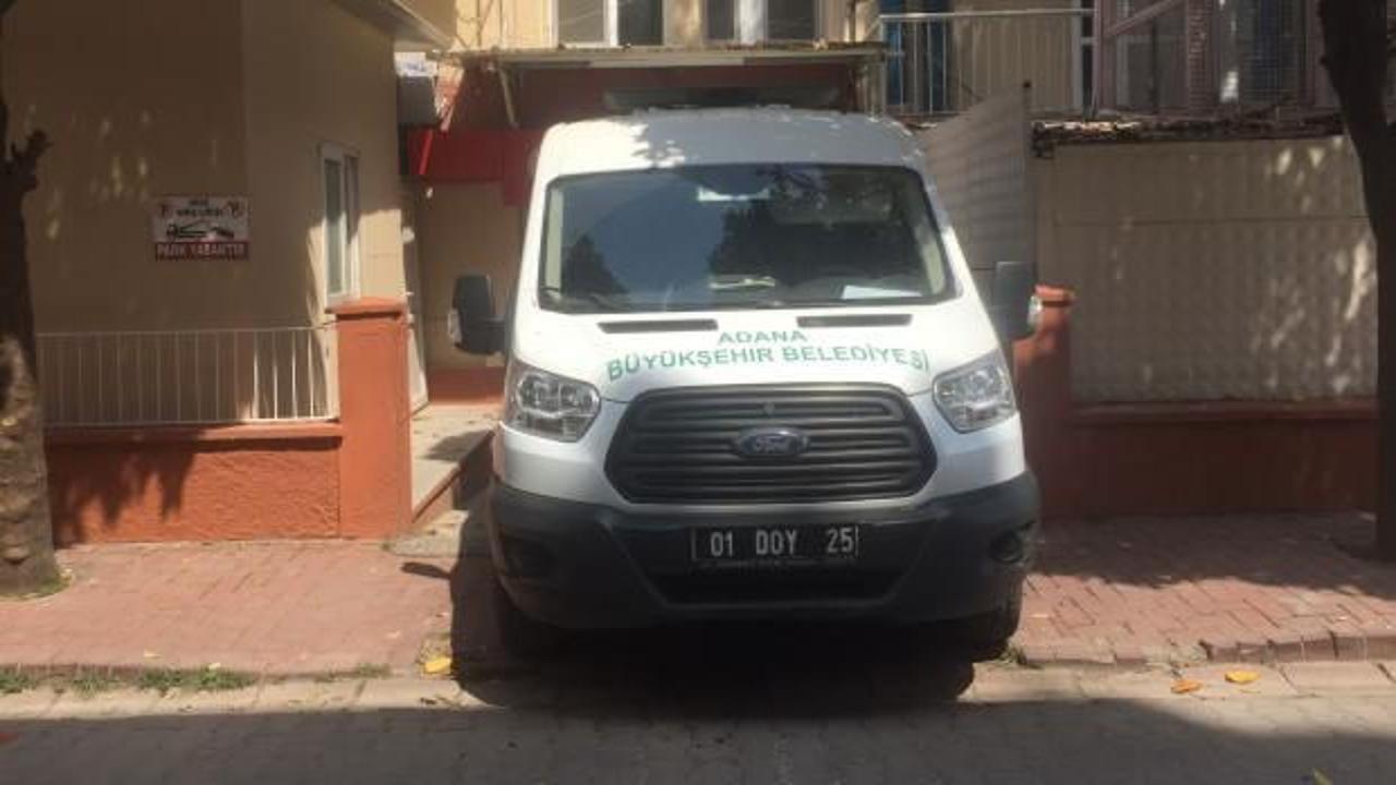 Adana'da başıboş köpek sürüsü yaşlı kadını parçaladı