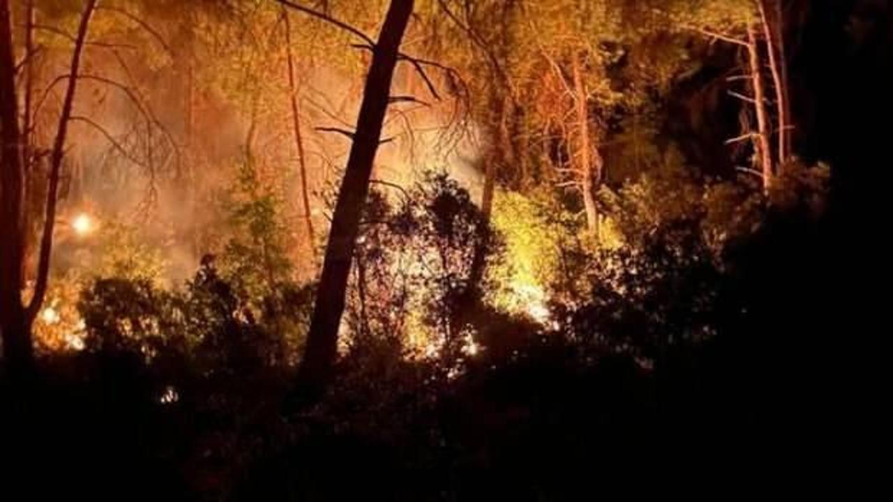 Adana'da orman yangını çıktı
