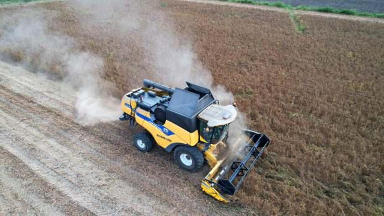 Adana'da soya hasadı başladı