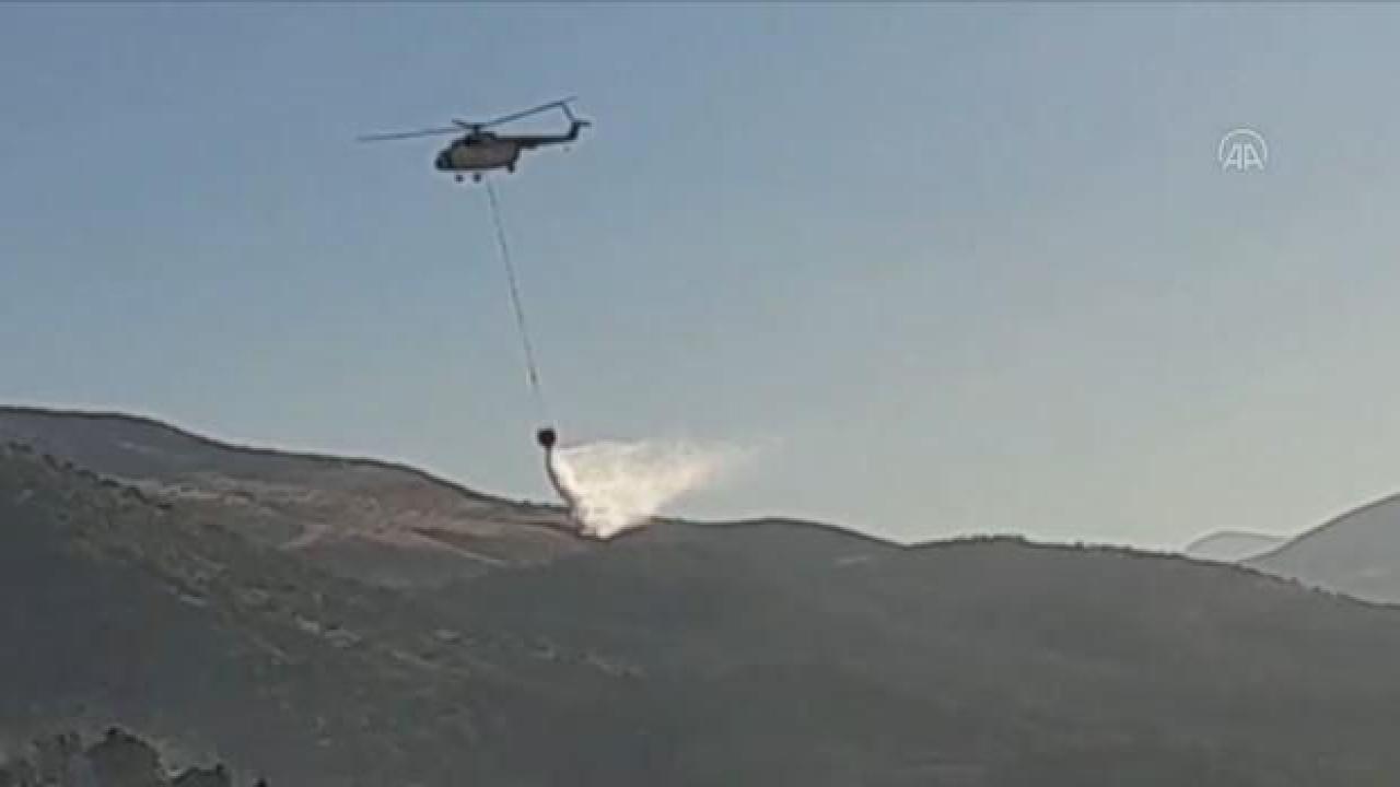 Adıyaman'da orman yangını: Müdahale ediliyor!