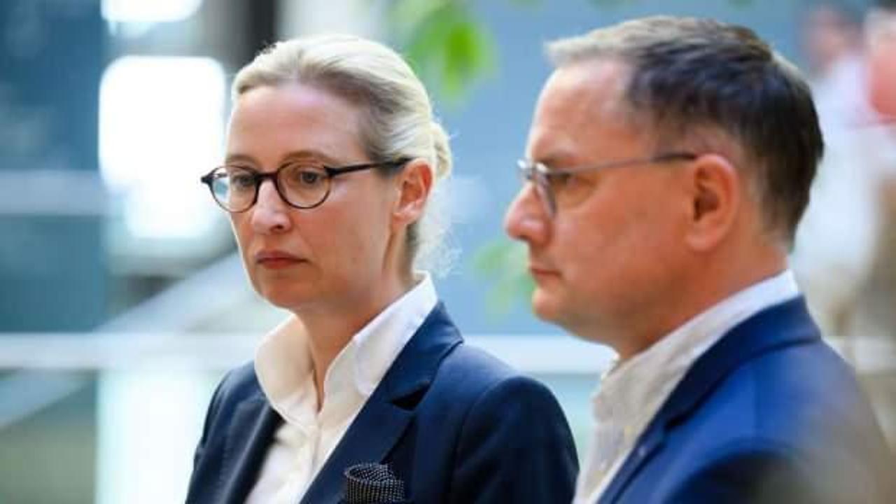 AfD, AP'den ihraç edildi