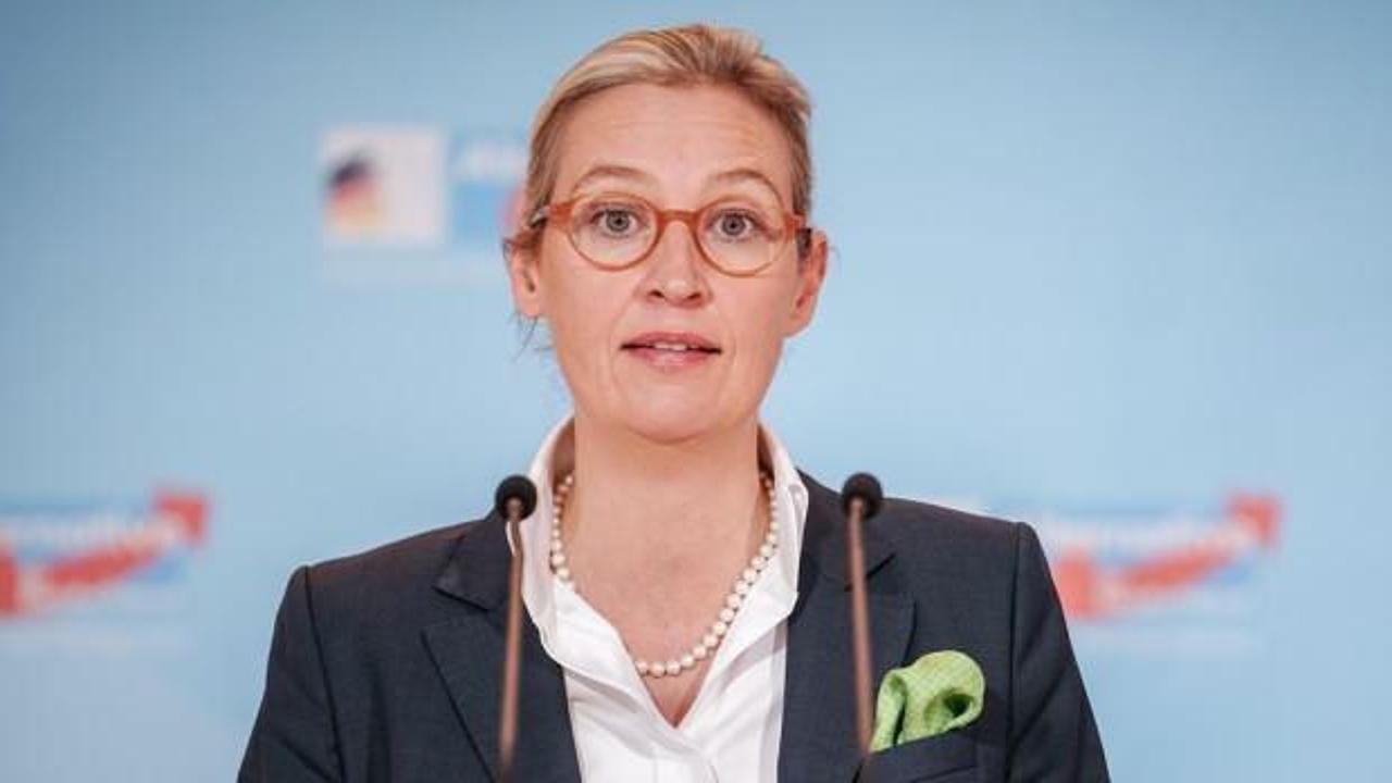 AfD: İktidar olunca Almanya'yı AB'den çıkartacağız