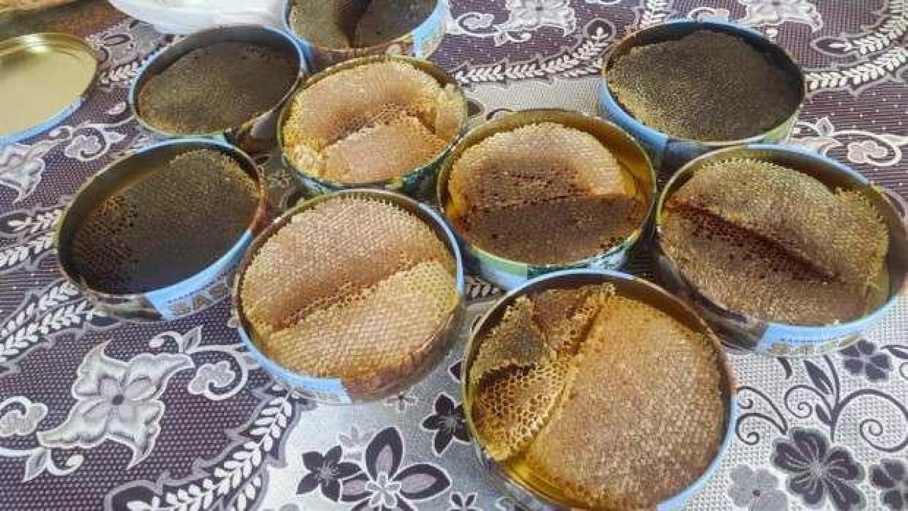 Ağaç balının kilosunu bin 500 liradan satıyor