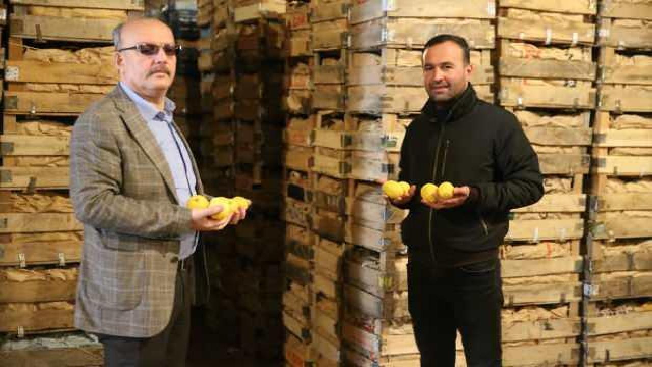 Akdeniz'de yetiştirilen limonlar Kapadokya'da muhafaza ediliyor