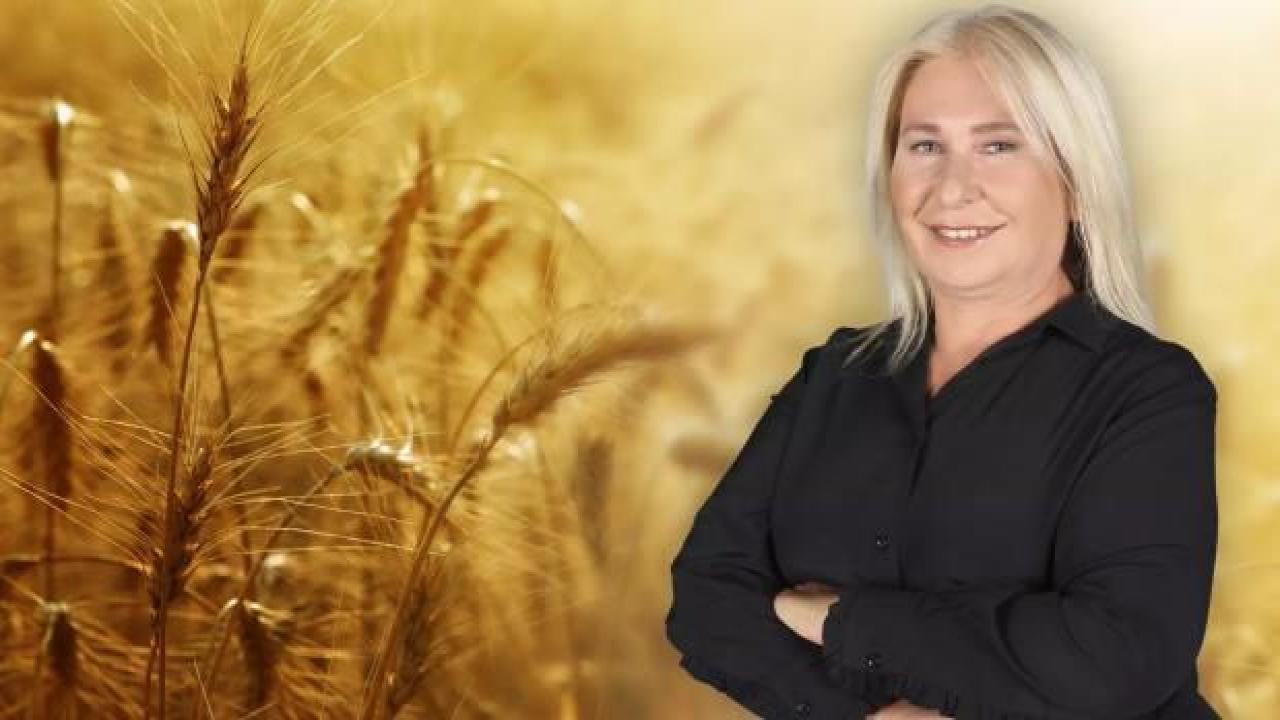 Alabalığın zirvedeki yolculuğu Topraktan Sofraya'da
