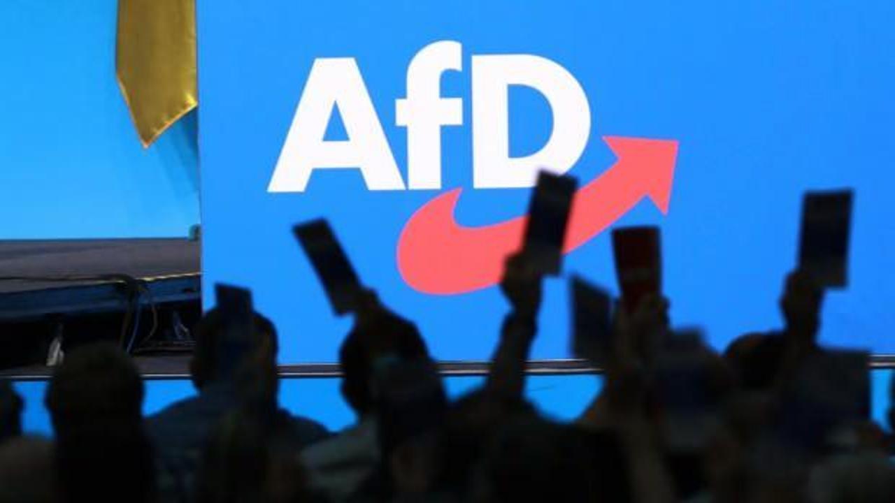 Almanya'da istihbarat, AfD'yi 