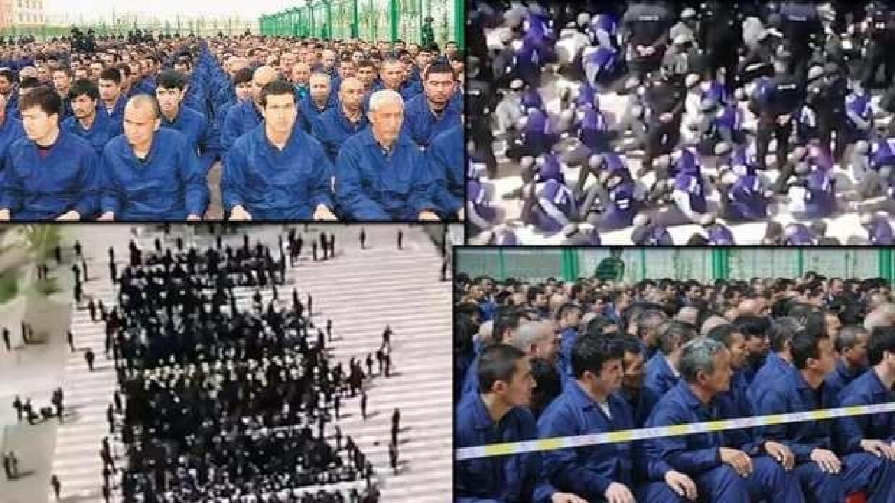 Almanya'dan Çin'e Doğu Türkistan çağrısı