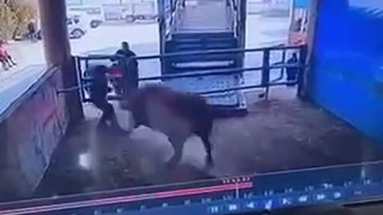 Amasya'da kızgın boğanın saldırdığı adam öldü