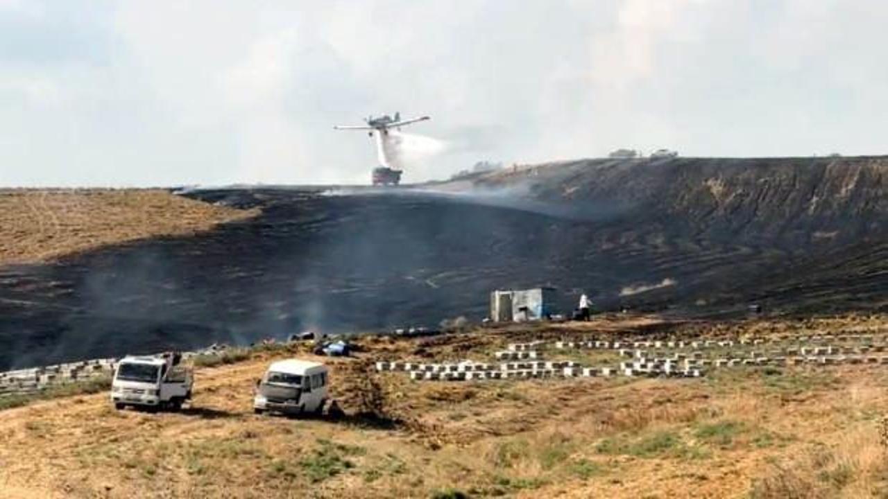 Anız yangını arı kovanlarına zarar verdi