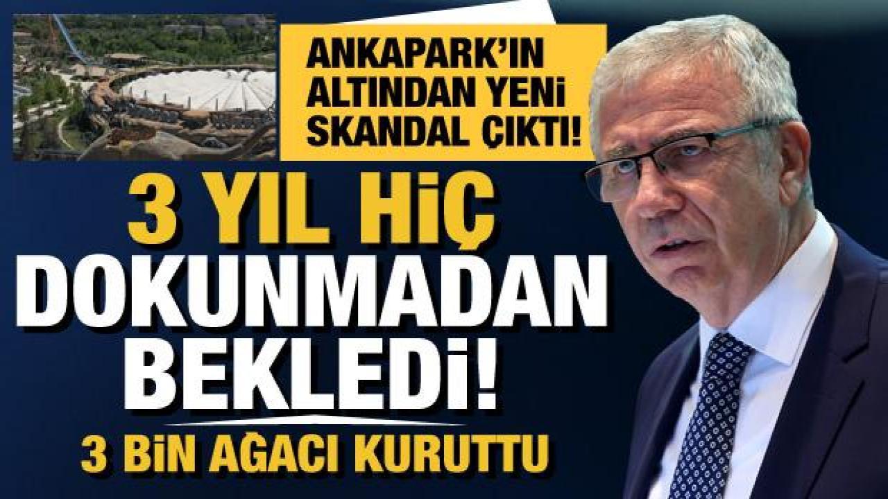 Ankapark’ı enkaza çevirdi şimdi sıra bakımsızlıktan kurumaya terk ettiği binlerce ağaçta!