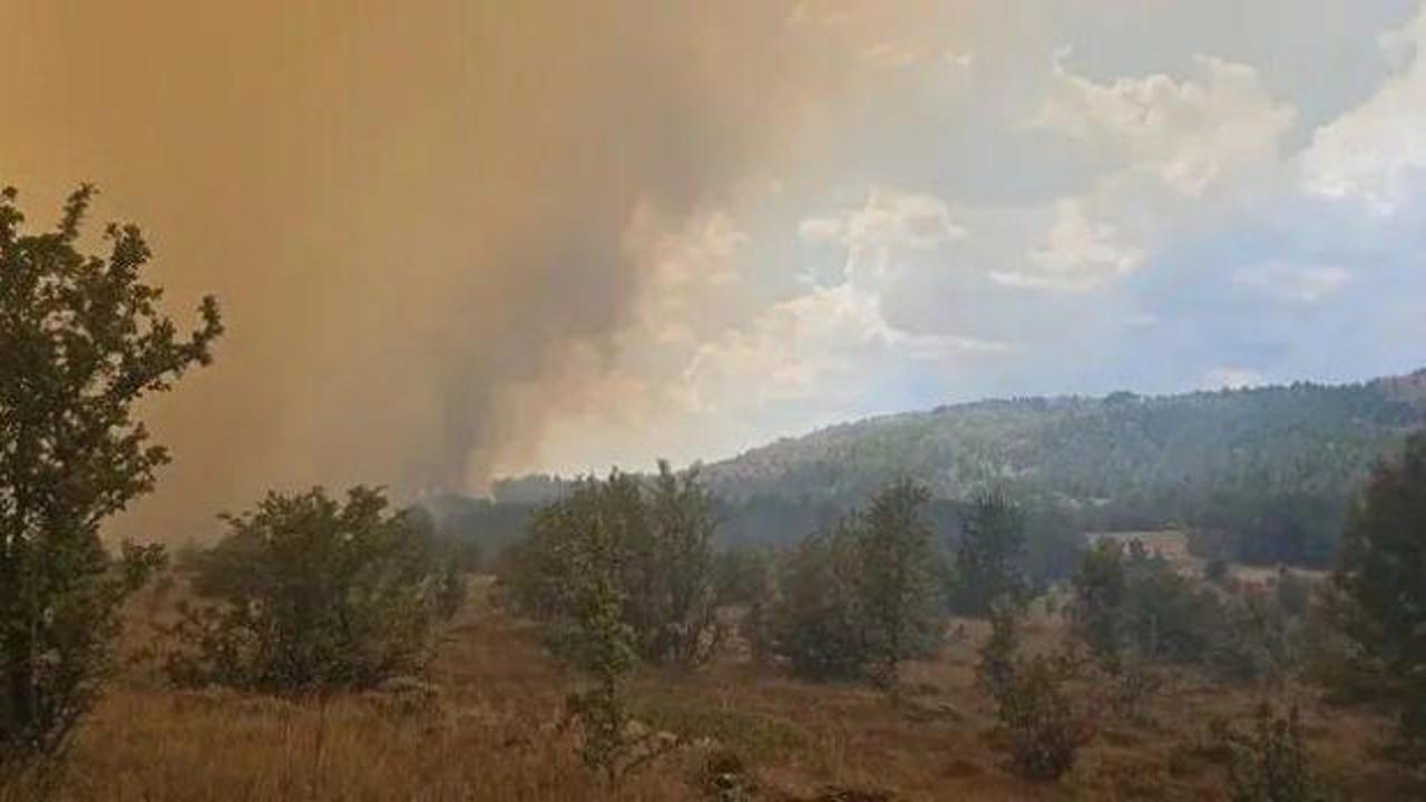 Ankara Bolu sınırındaki orman yangınıyla ilgili yeni gelişme!