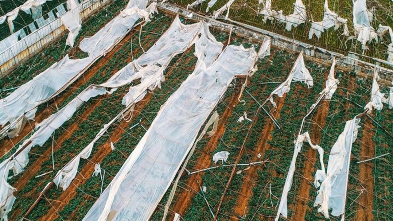 Antalya'da fırtına ve hortum sebze fiyatlarını etkileyecek!